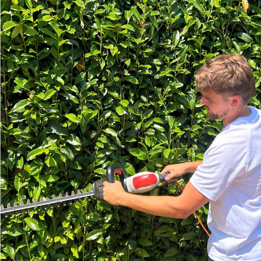 DB Espaces Verts, Angoulême