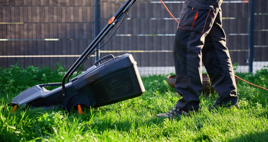 Tonte de pelouse Angoulême
